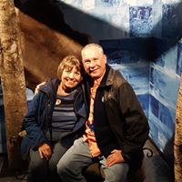 Betty Hill Bahleda's profile image