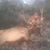 Ken Hrenko's profile image