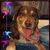 Nicole Hedington's profile image