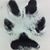 Lynsey Fuegner's profile image