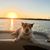 Cindy Manley's profile image
