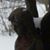 April Heady's profile image
