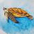 Donna Sayre-Bengle's profile image