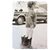 Kim Bishop Boberg's profile image