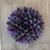 Amy Marasco's profile image