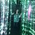 Alison Forrest Jackson's profile image
