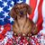 Brenda Lawson's profile image