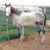 Kay Ashcraft's profile image