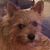 Suzanne Cobb Bell's profile image