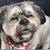 Ronald Sage's profile image