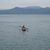 David Gress's profile image