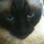 Kimberley Nagelhout's profile image