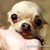 Judith Lindsey's profile image
