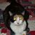 Cheryl Moore's profile image