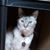 Renee Lakey's profile image