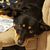 Keith Bernard's profile image
