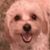 Da Wi's profile image