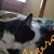 Kathlyn Clark Carpenter's profile image