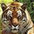 Cheryl Trotter's profile image