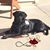 Shelly Shetley's profile image