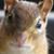Norwood Frederick's profile image