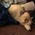 Jaime Gilson's profile image