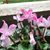 Suzy J Slater-Gorme's profile image
