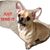 Scott Dolbow's profile image