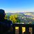 Rayan B. Rashdan's profile image
