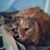 Bruce Humphrey's profile image