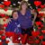 Carol Beeson Lindahl's profile image