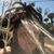 Anna-Marie Menhenott's profile image