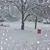 Yvonne Lund Wright's profile image