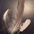 Susan Cantwell's profile image
