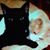 Sandy Tracy's profile image