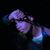 Joseph Reyes's profile image