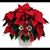 Sharon Allen's profile image