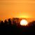 SusanAbbott TerryCharles's profile image