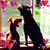 Marilee Rowan's profile image