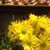 Kathy Geraghty Minckler's profile image