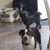 Illise Rosenthal- Arvelo's profile image