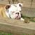 Michael S Espenshade's profile image