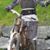 Dag Arild Sandal's profile image