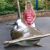 April Petri's profile image