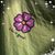 Patzy Finney's profile image