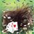 Teresa Rebecca Jernagin Lepoint's profile image