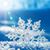 Carol Radke's profile image