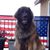 Gregory Shaner's profile image