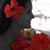 Heather Quezada Seuberling's profile image