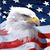 Geraldine Schisler's profile image